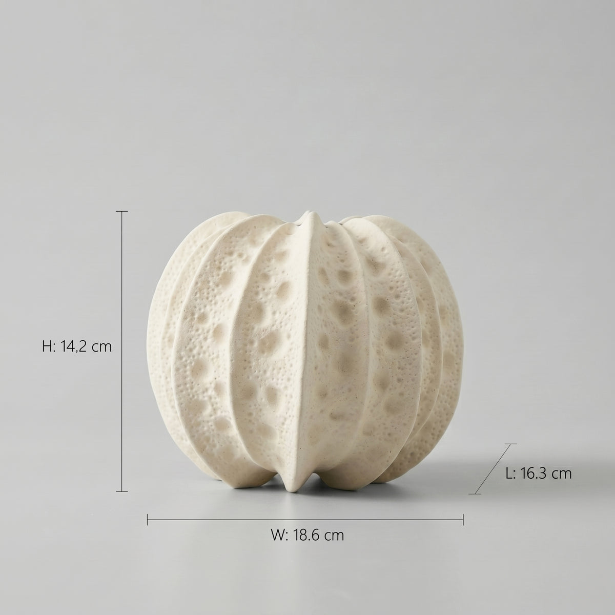 White Sea Urchin Ceramic Vase by Zodiya