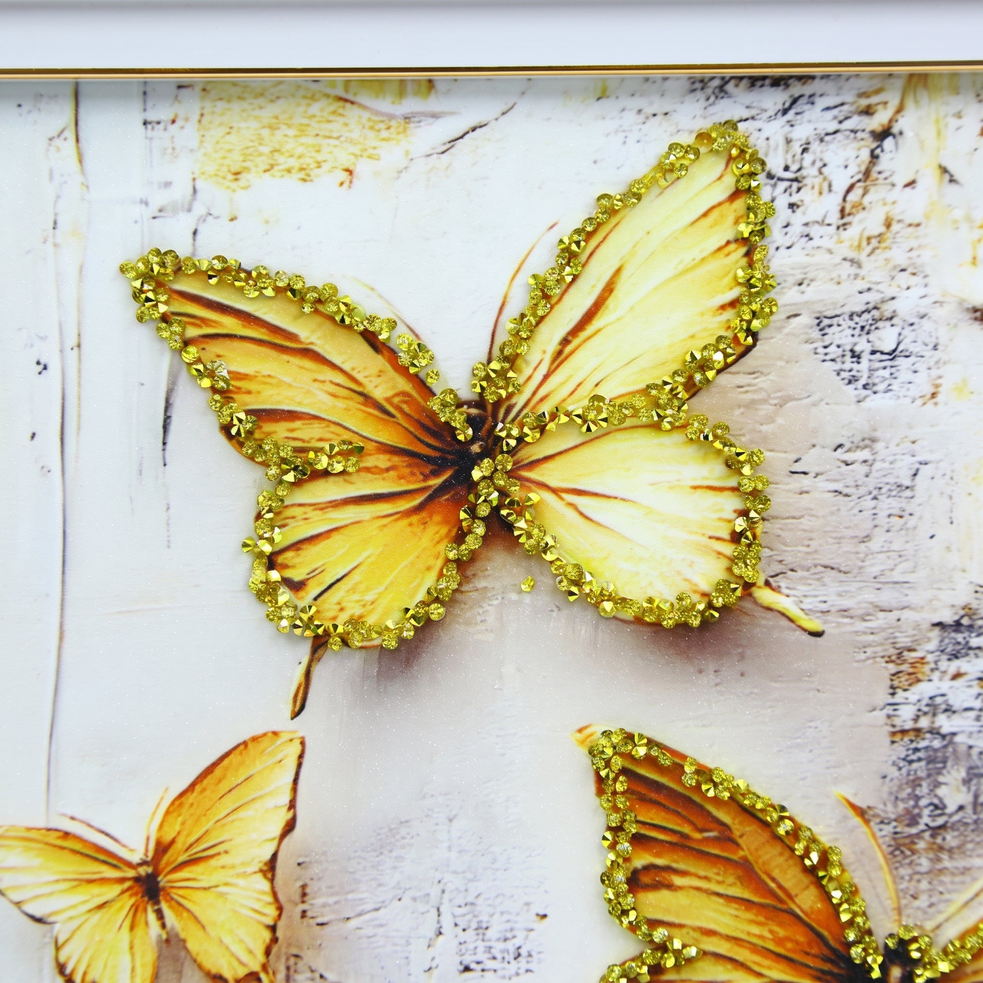 Butterfly Flutters Picture Frame by Zodiya-3