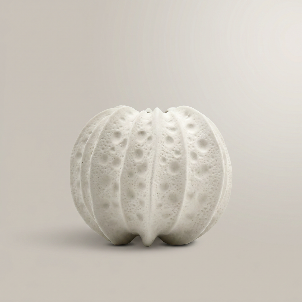 White Sea Urchin Ceramic Vase by Zodiya