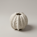 White Sea Urchin Ceramic Vase by Zodiya
