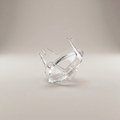 Glass Water Jug by Zodiya