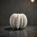 White Sea Urchin Ceramic Vase by Zodiya