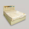 White Engineered Wood Queen Bed with Storage by Zodiya